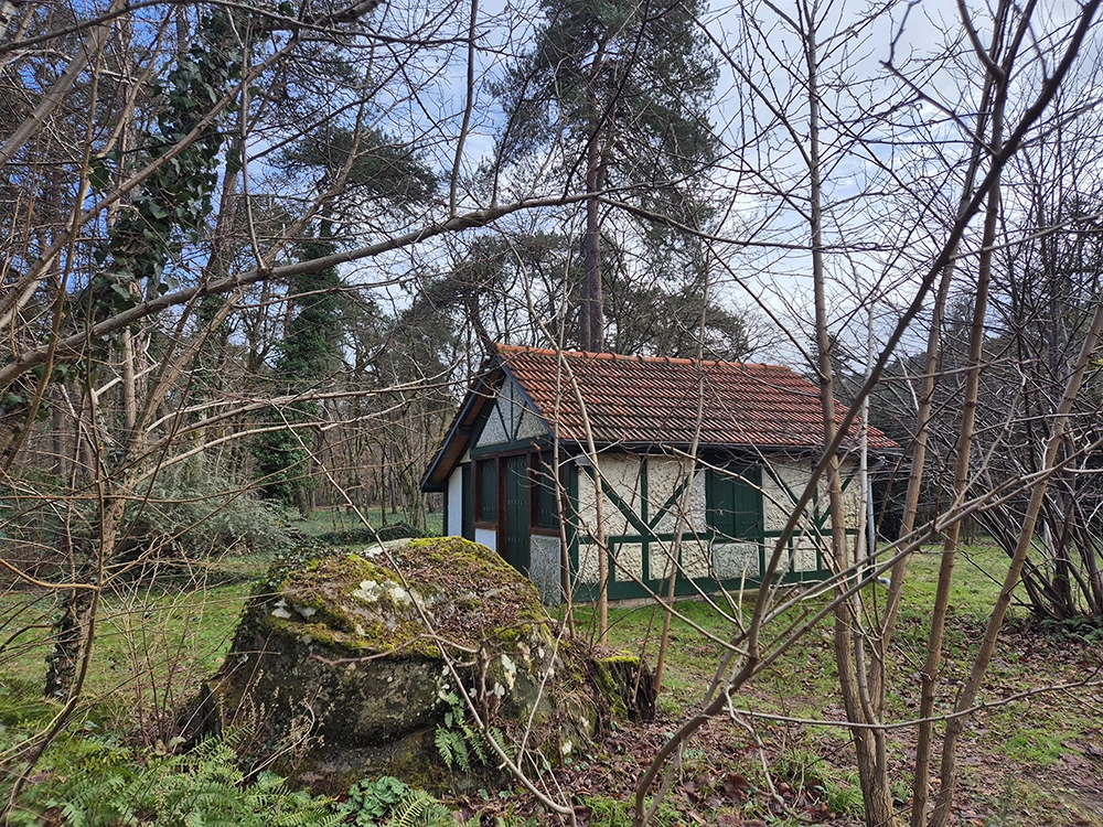 Outdoor view of the apartment in thought the empty branches of the hazel bush, sky is blue with clouds, winter like.